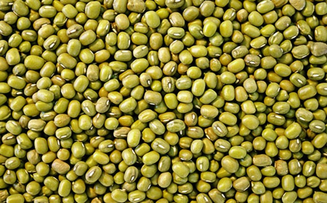 WhatsApp Image 2025-12-16 at 11.42.02 AM